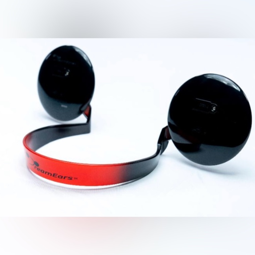 Disney dream ears